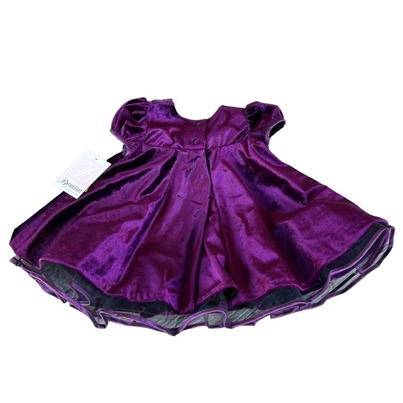 Bonnie Baby Bonnie Jean Velvet Holiday Dress Baby 18 Mo Plum Purple Rosette NWT - Picture 4 of 12